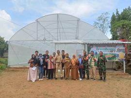 BUMKal Mekar Jaya Sejahtera Sambirejo Tanam Melon Perdana